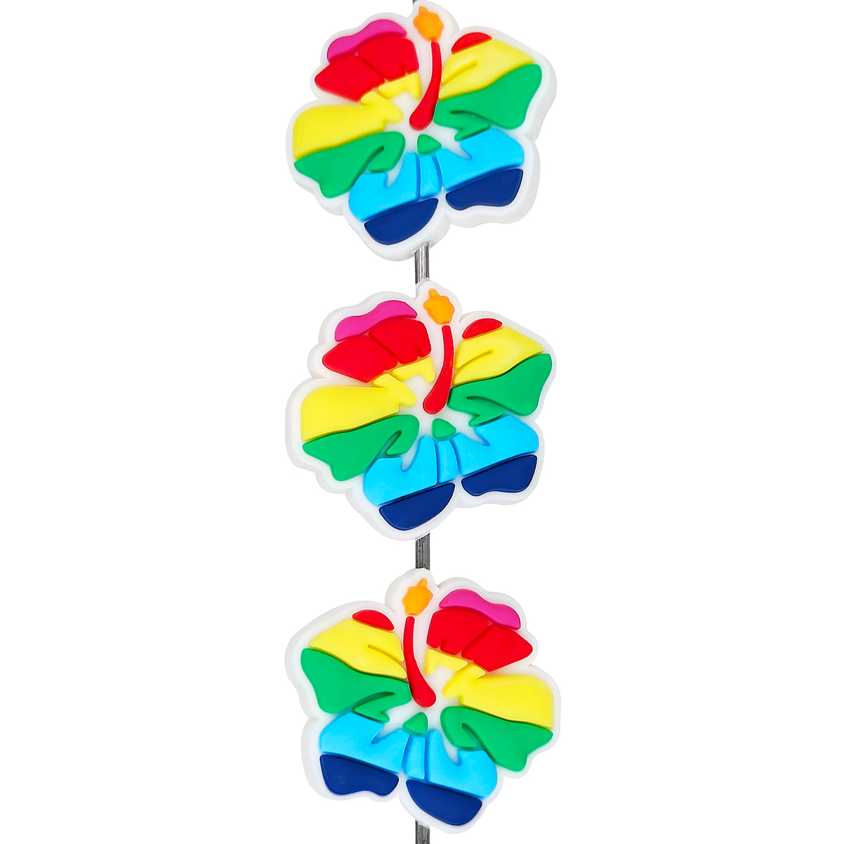 Rainbow Hibiscus Flower Focal