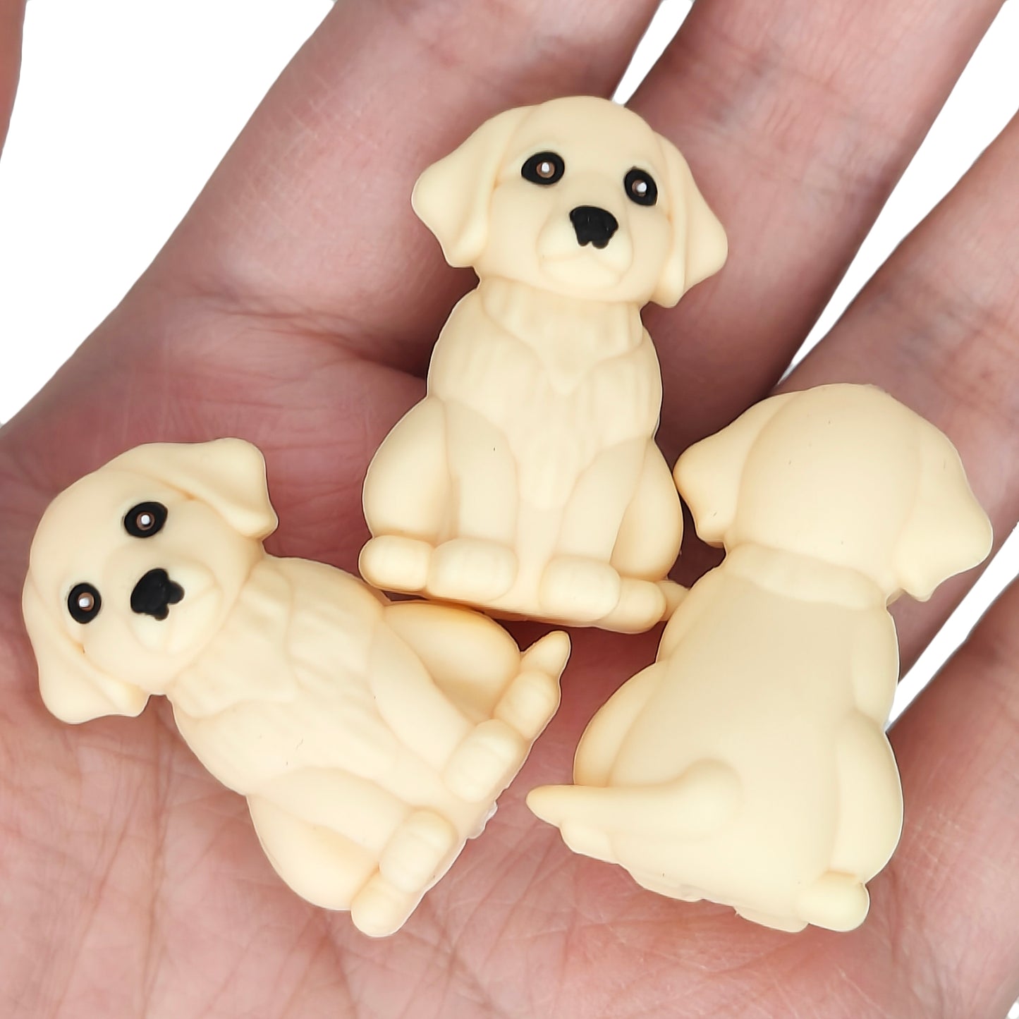 3D Golden Retriever Focal