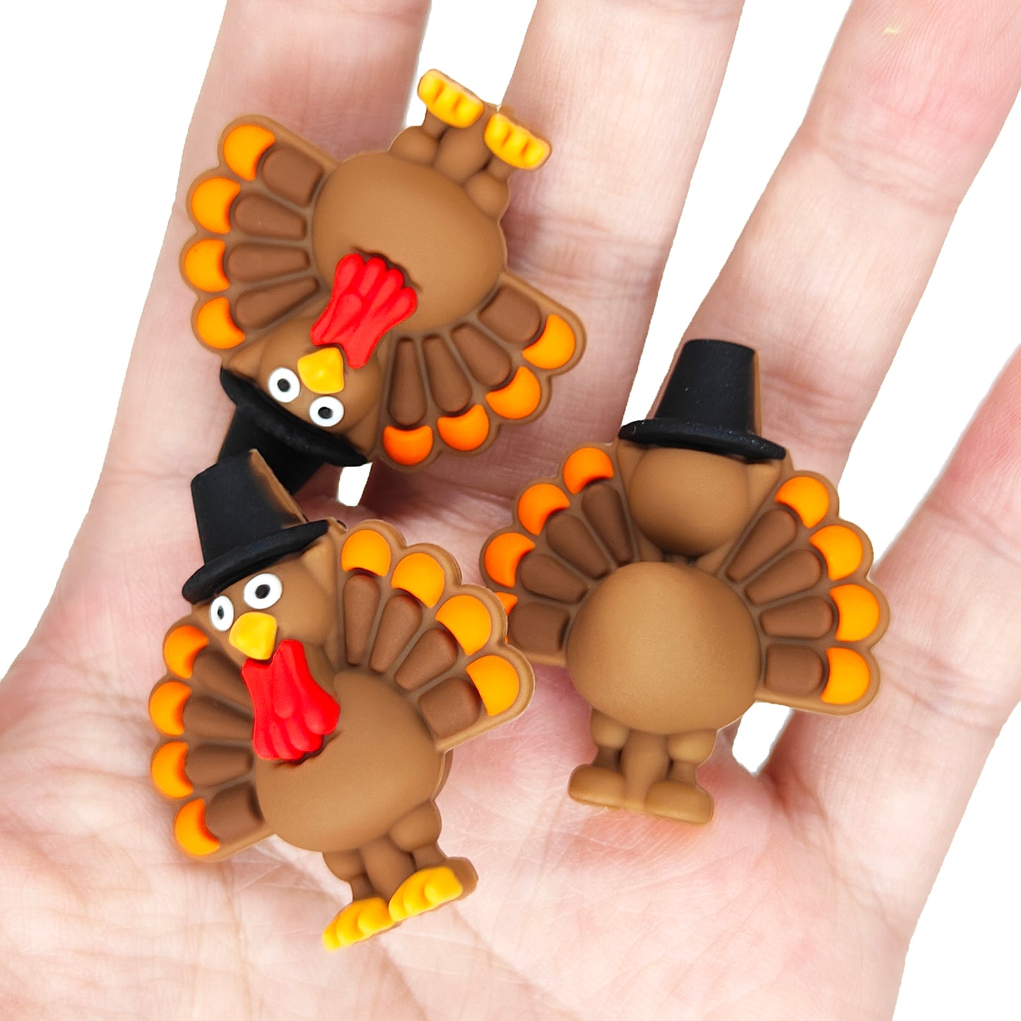 3D Thanksgiving Turkey Focal