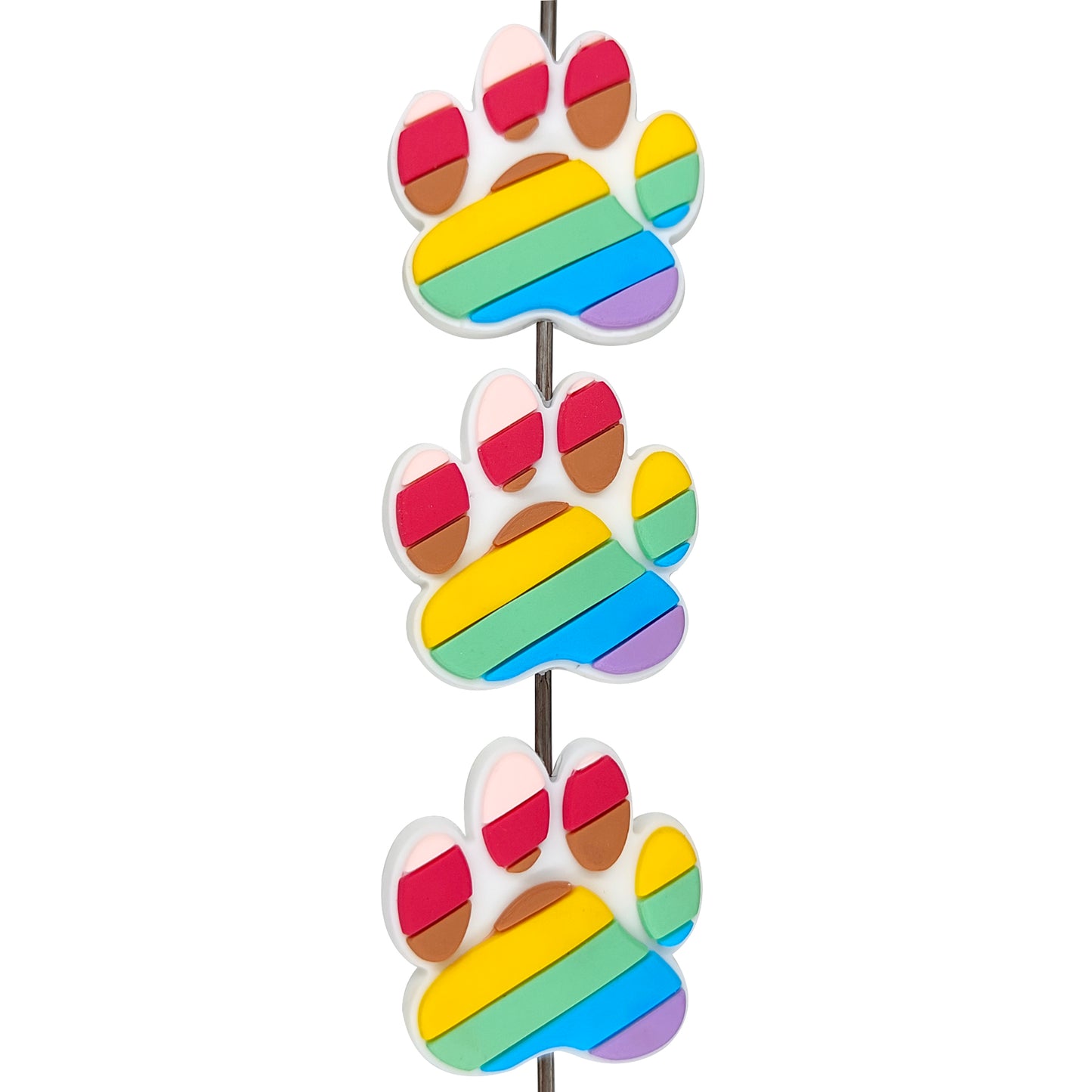 Rainbow Dog Paw Focal