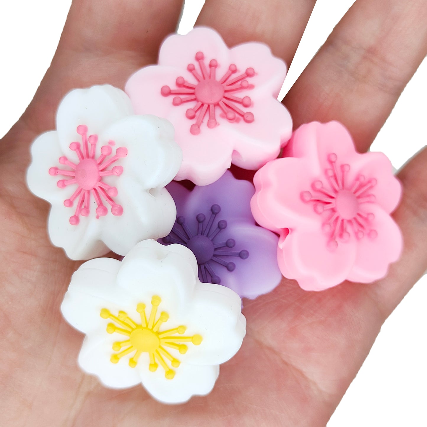 Begonia Flower Mix Color Focal