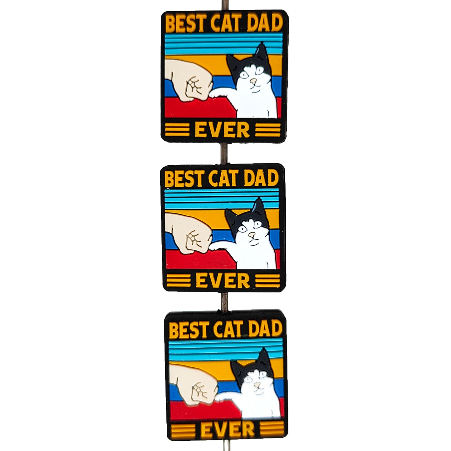 Best Cat Dad Ever Focal