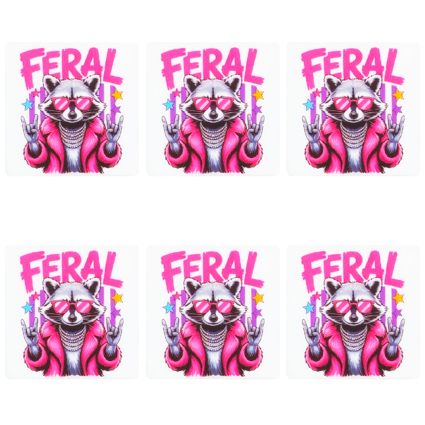 Feral Racoon Square Print Focal