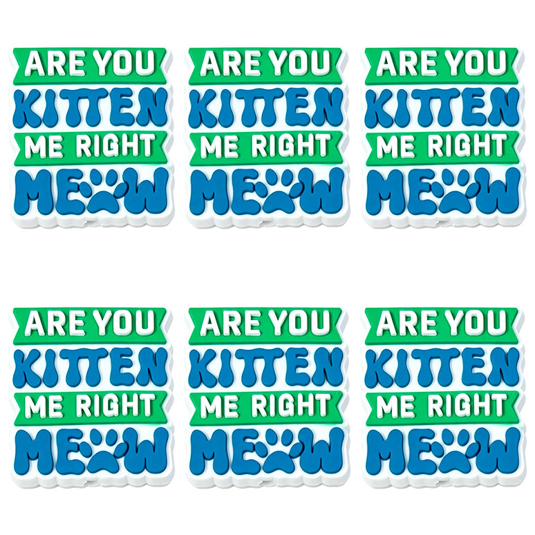 Are You Kitten Me Right Meow Focal