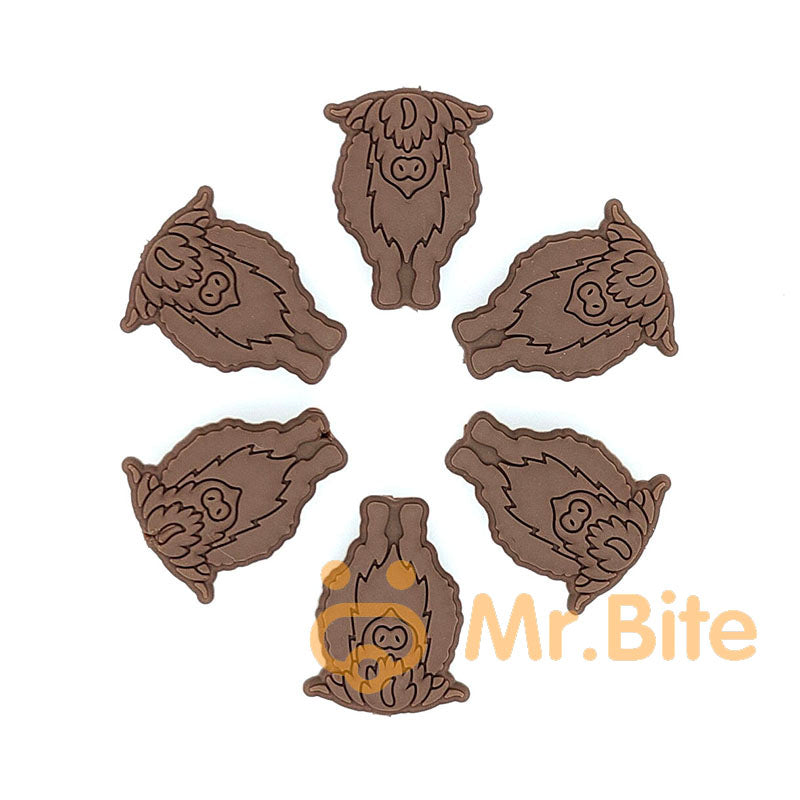 New Highland Cow Focal