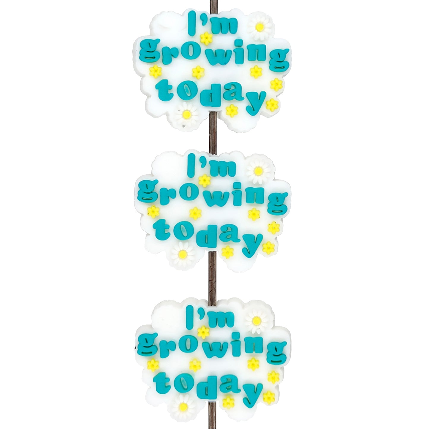 I'm Growing Today Focal