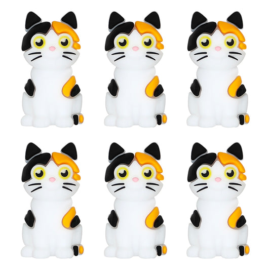 3D Cat Focal