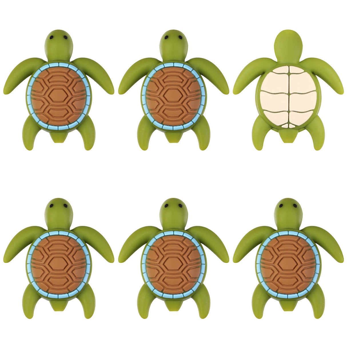 3D Turtle Focal
