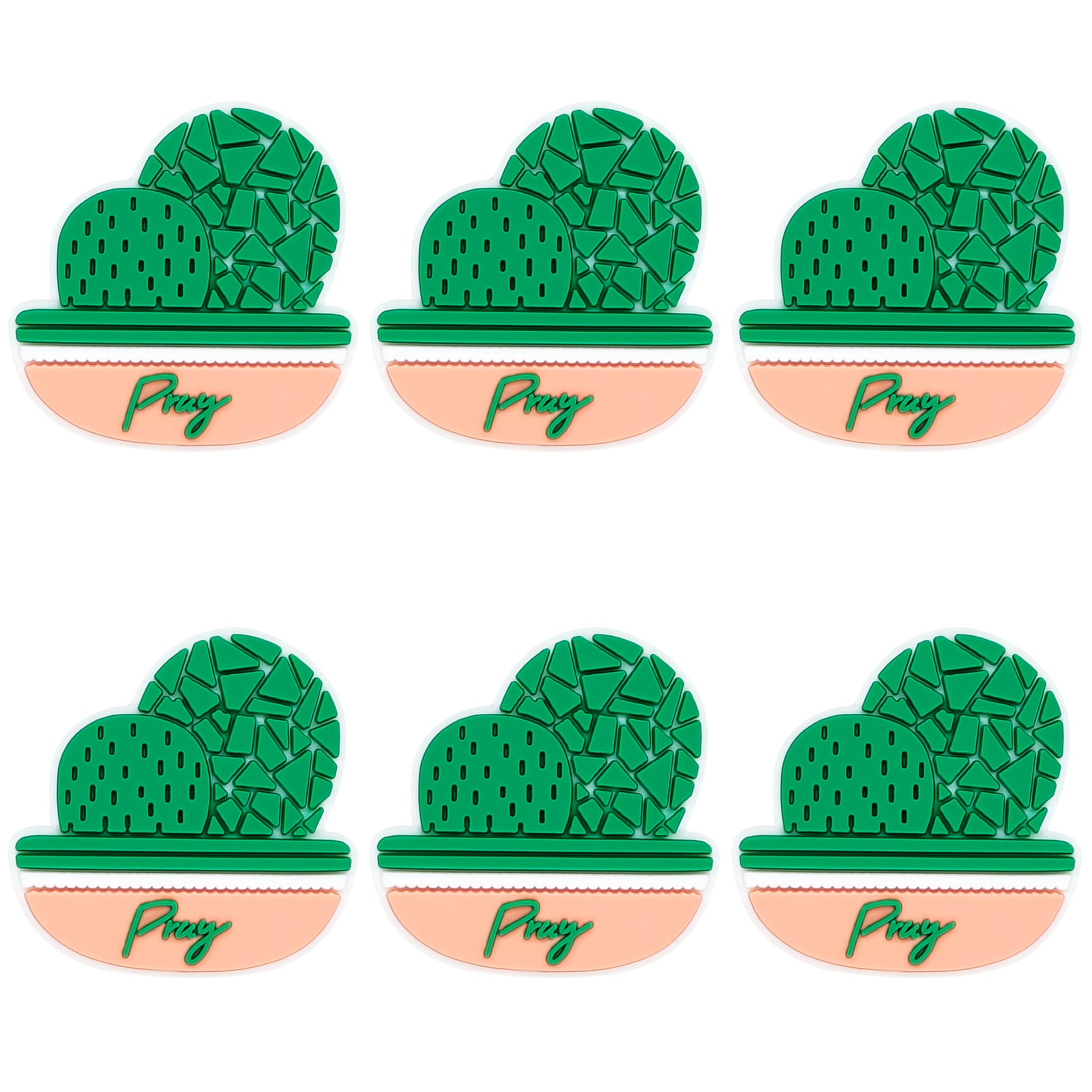 Cactus Pray Focal