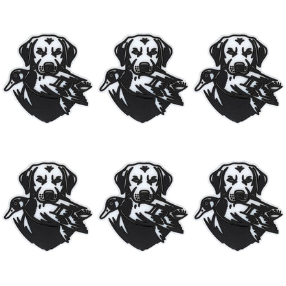 Duck Hunting Dog Focal