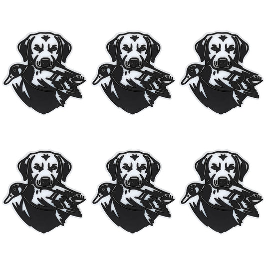 Duck Hunting Dog Focal