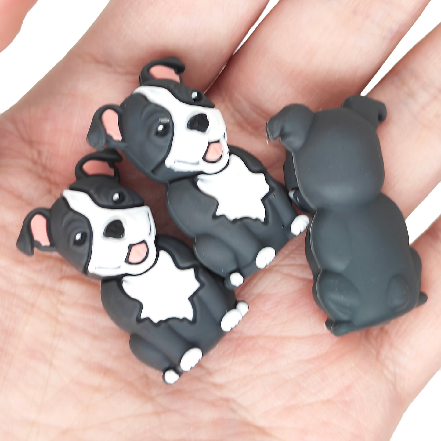 3D Dog Focal