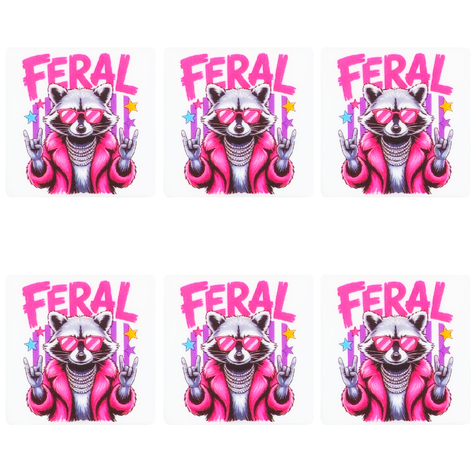 Feral Racoon Square Print Focal