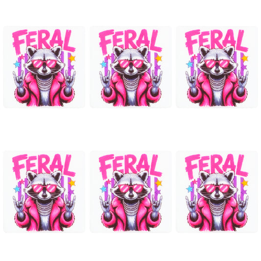 Feral Racoon Square Print Focal