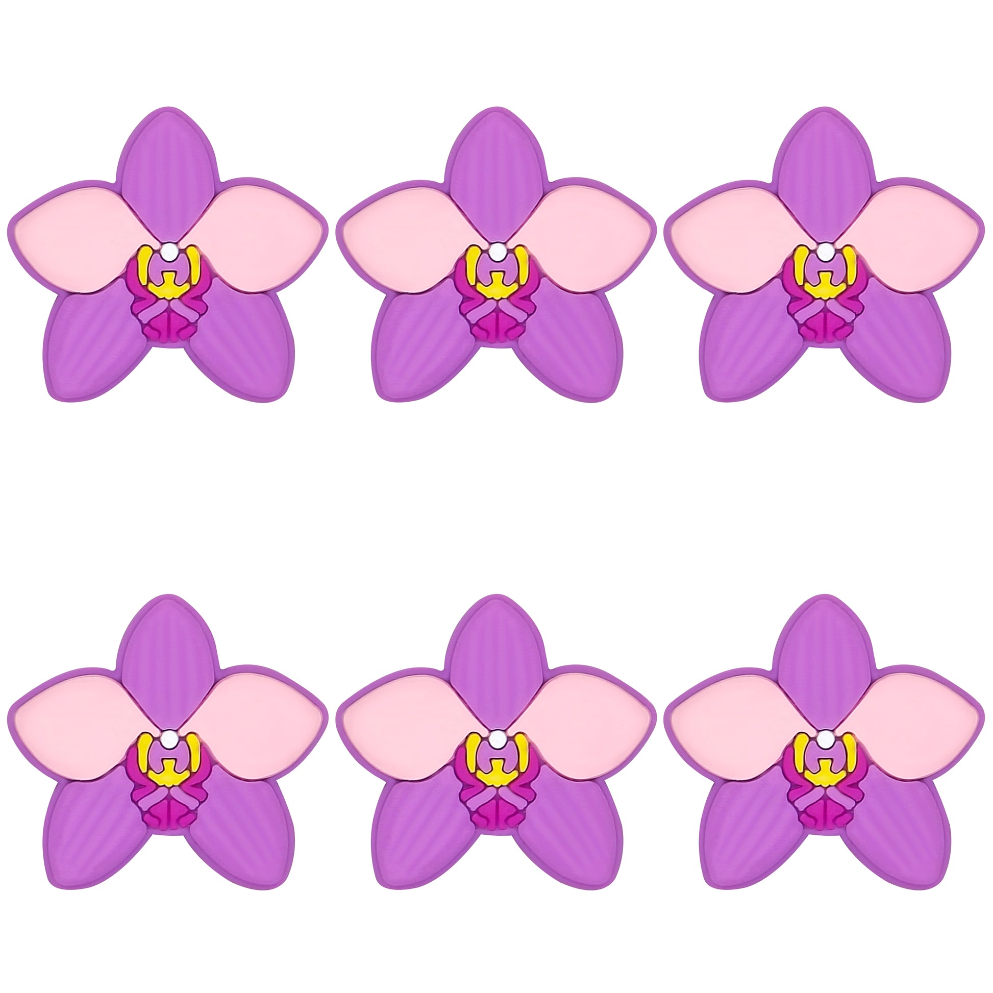 Orchid Flower Focal
