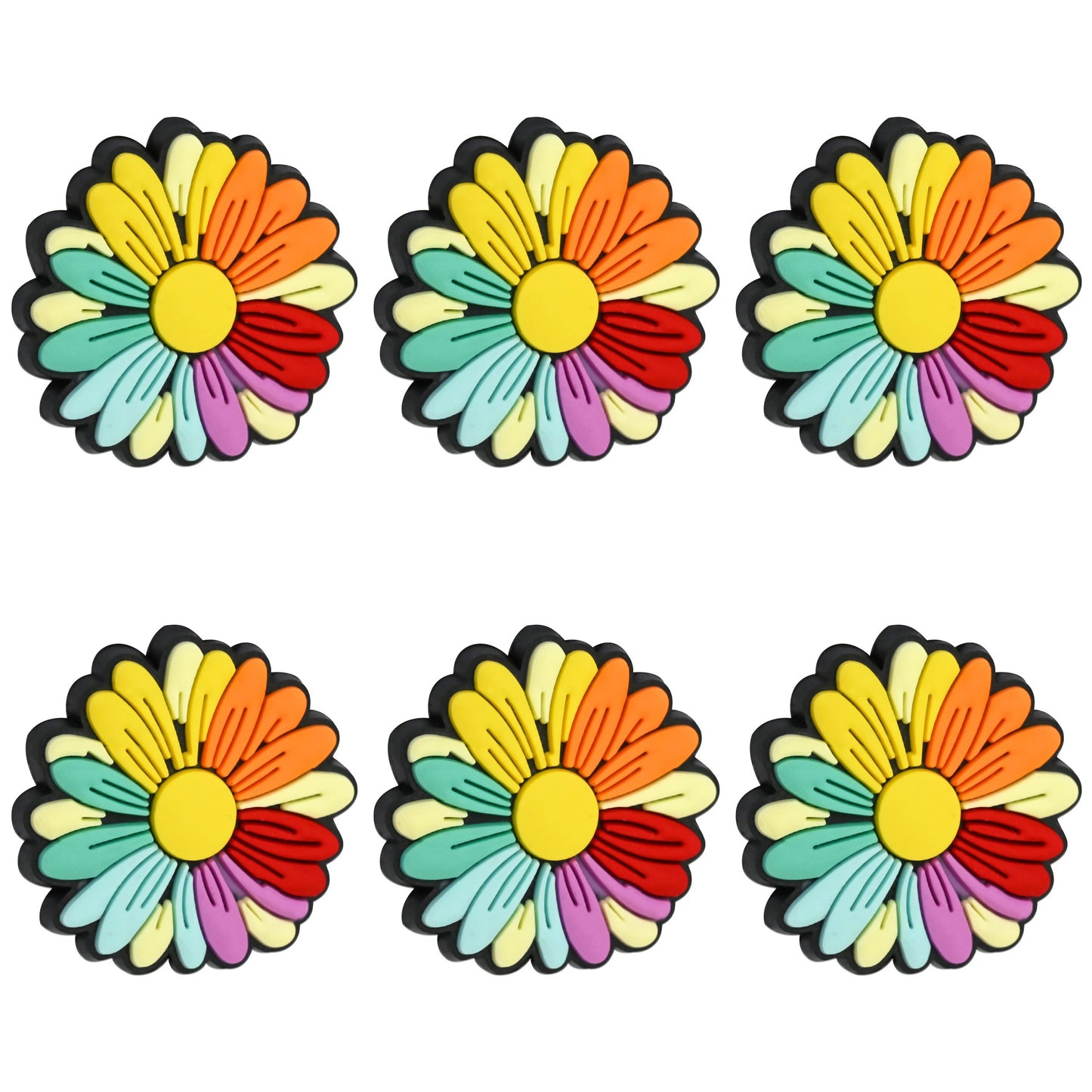 Rainbow Daisy Flower Focal