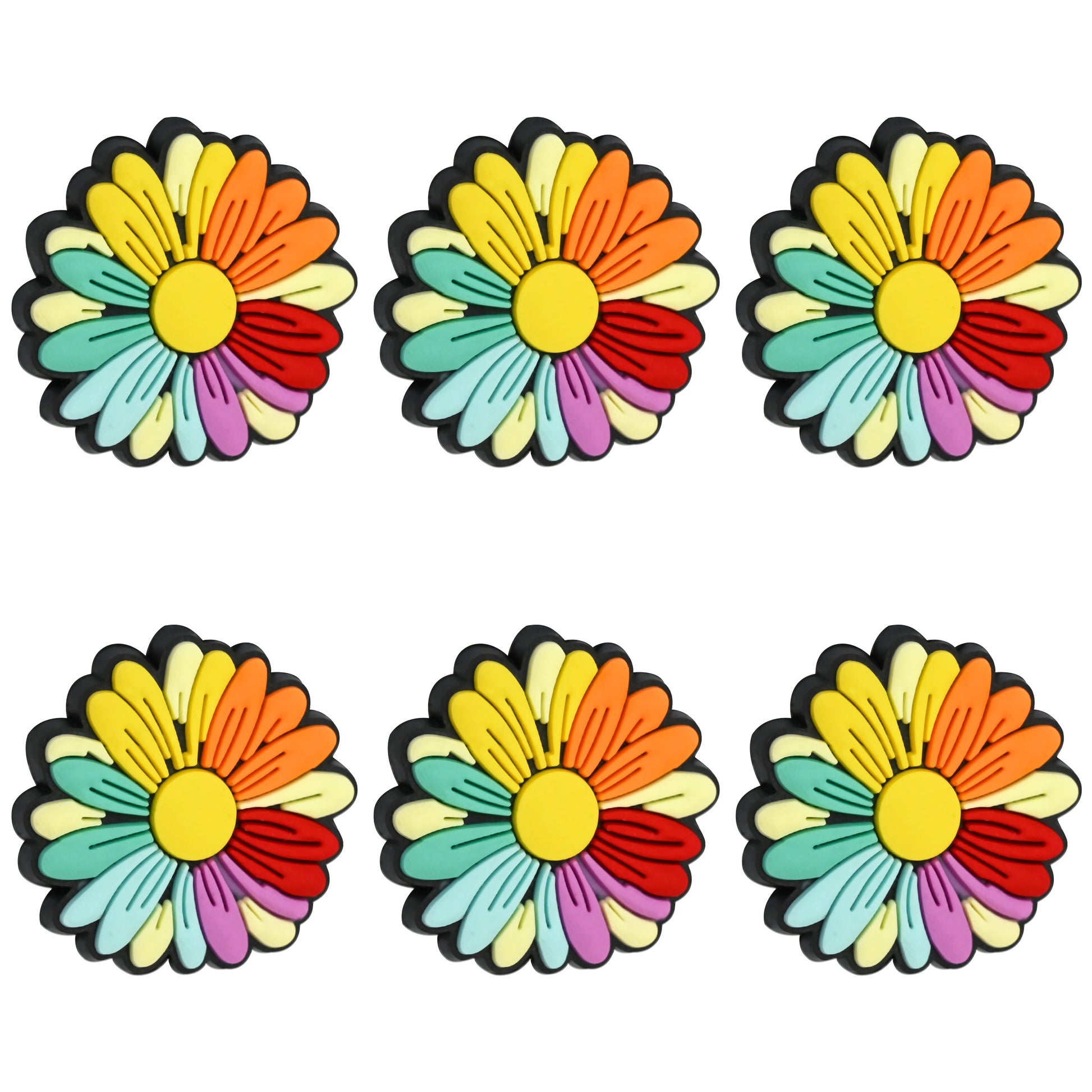 Rainbow Daisy Flower Focal