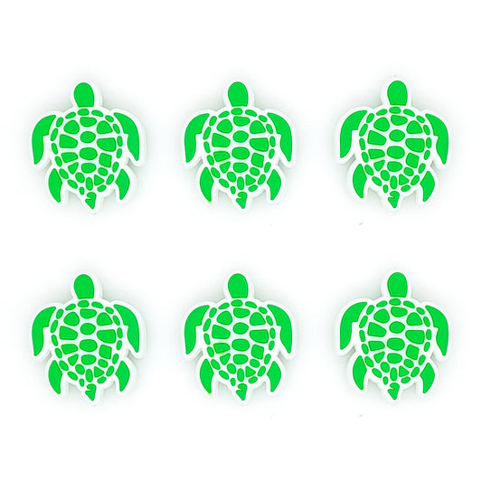 Sea Turtle Focal